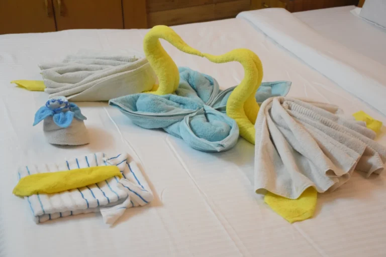 Towel Art – IHMS Kotdwar, photo 4