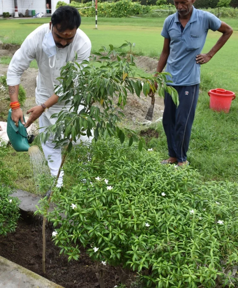 15 August Plantation – IHMS Kotdwar, photo 25