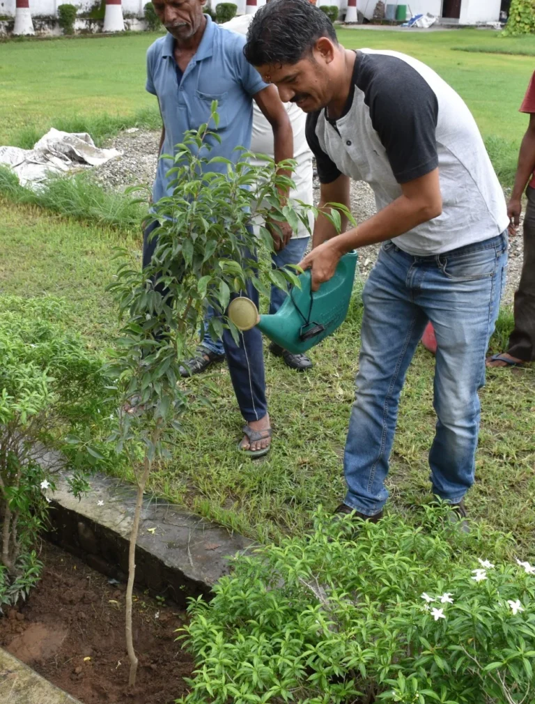 15 August Plantation – IHMS Kotdwar, photo 9