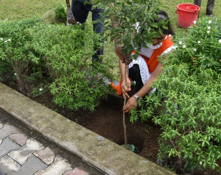 15 August Plantation – IHMS Kotdwar, photo 8