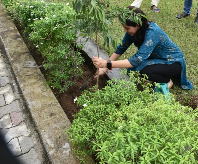 15 August Plantation – IHMS Kotdwar, photo 7