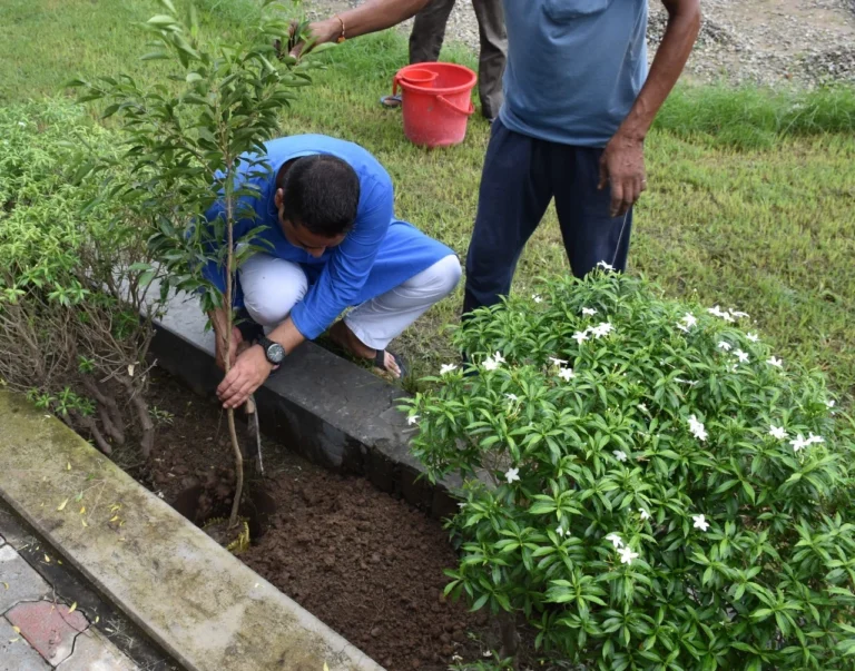 15 August Plantation – IHMS Kotdwar, photo 5
