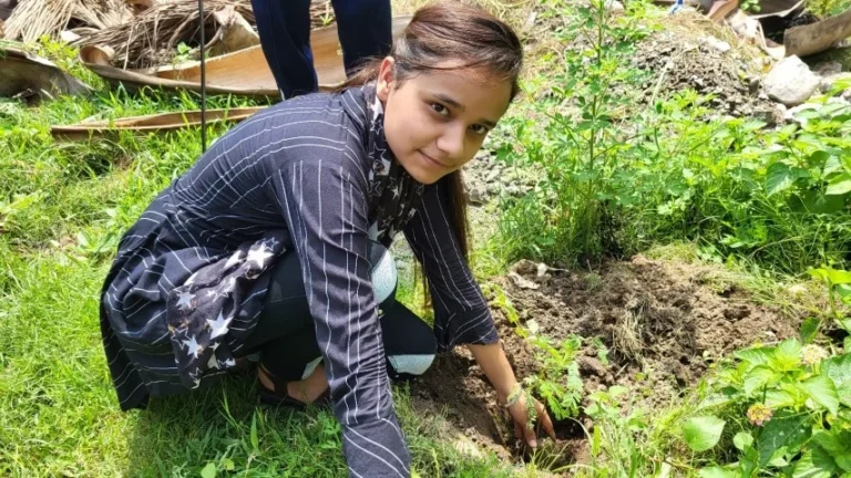 Van Mahotsav Saptah at IHMS Kotdwar – IHMS Kotdwar, photo 21